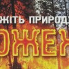 fire-1024x487