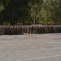 34