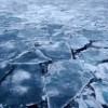 тонка крига