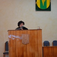 DSC 0224