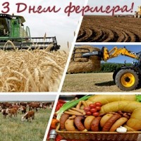 Без имени