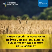 ринок 2