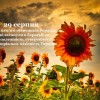 5f49124beec64819370058 730x410