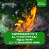 пожежі лісові