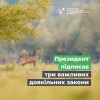 президент