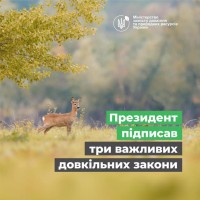 президент