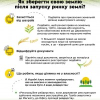ринок